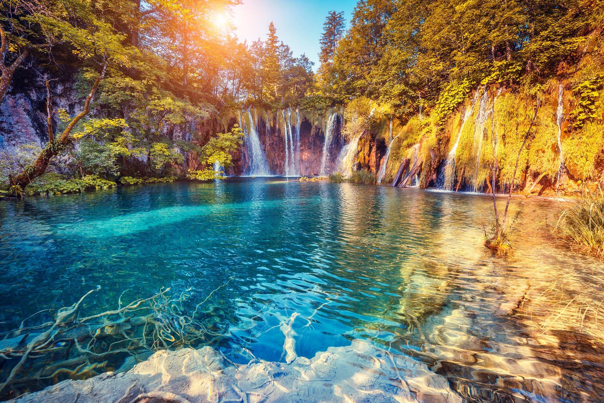 IVP Travel